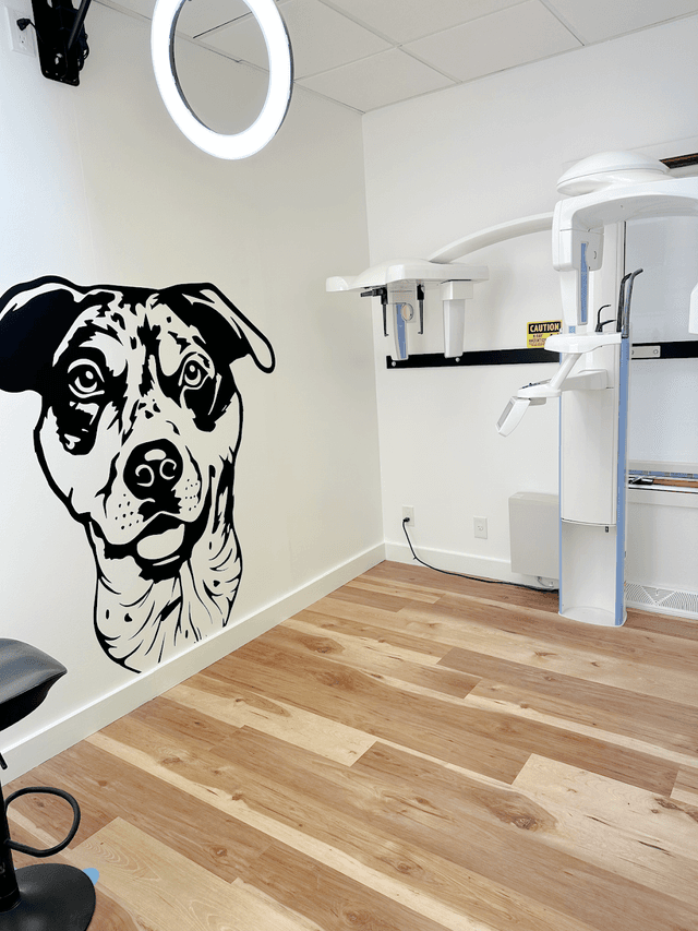 Manzella Orthodontics photo