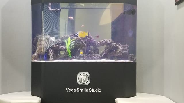 Vega Smile Studio photo
