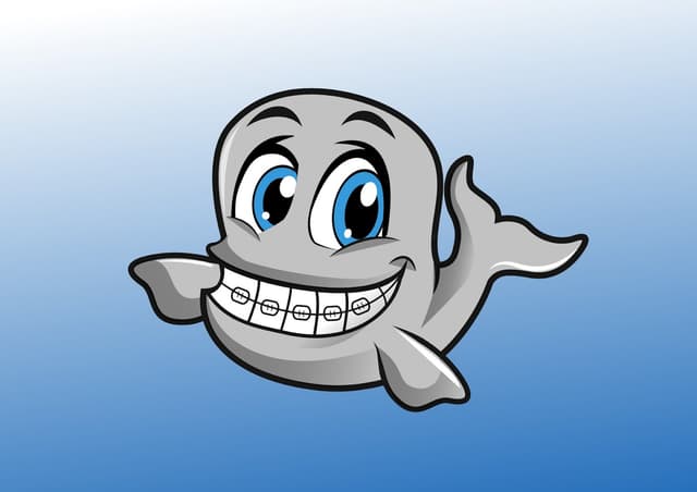 Monmouth-Ocean Orthodontics photo