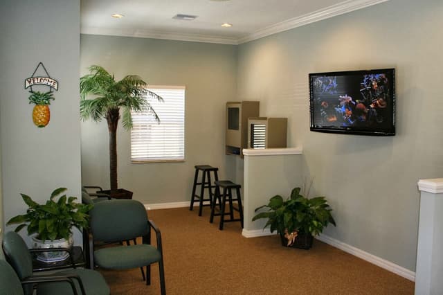 Metz Orthodontics photo