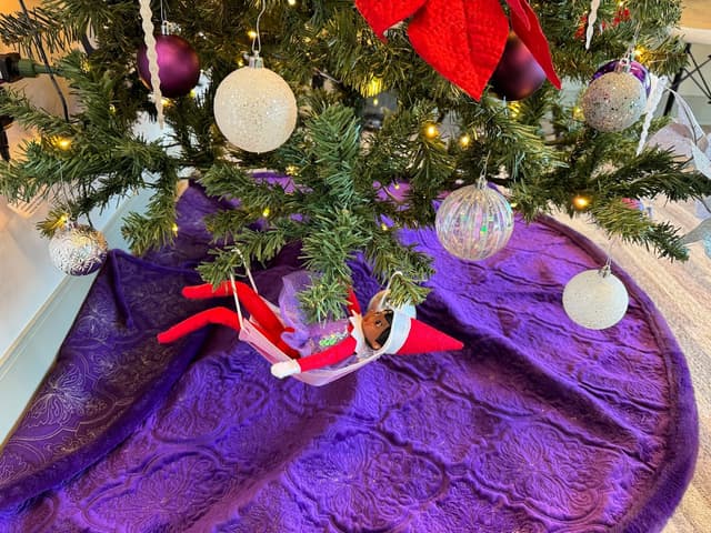 Amaya Orthodontics photo