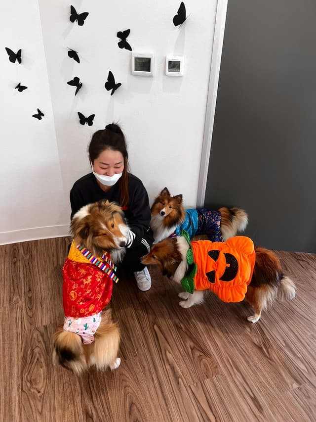 PRIME orthodontics photo