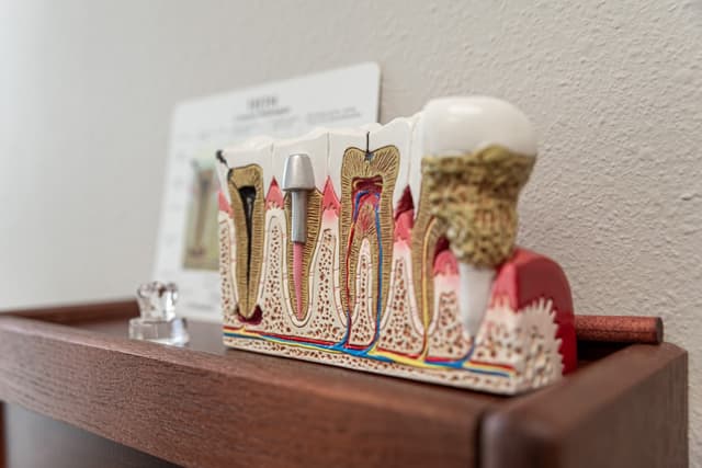 Highland Village Smile Studio photo