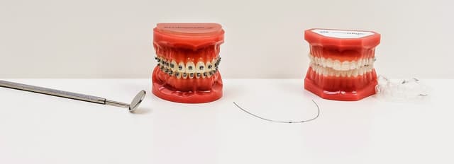 Prosper Trail Orthodontics photo
