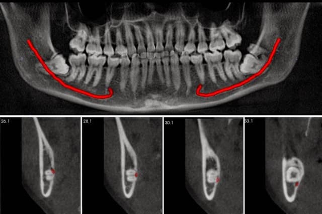 Leiker Orthodontics - Conroe photo