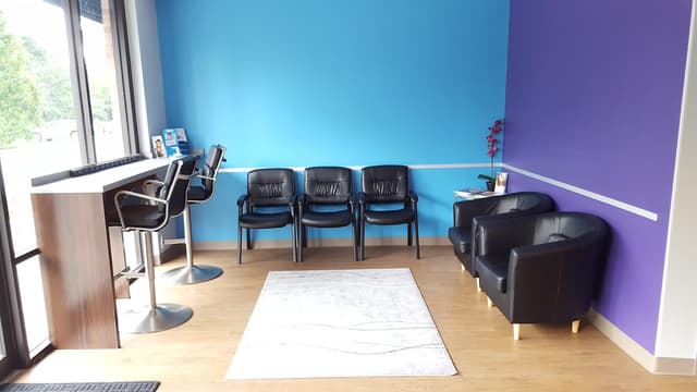 Showtime Orthodontic Arts photo