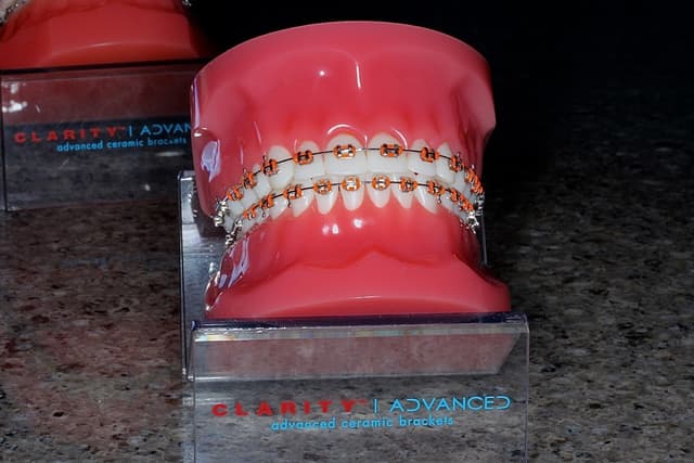 Showtime Orthodontic Arts photo