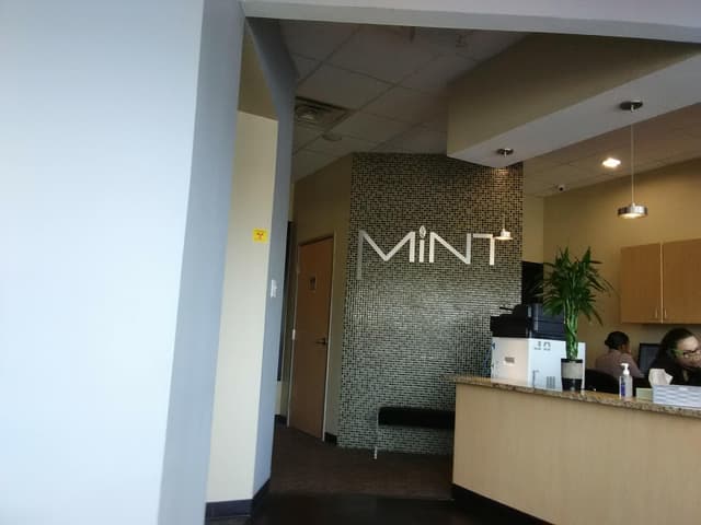 MINT dentistry | Spring photo
