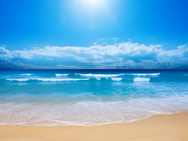 Legler Orthodontics - Vero Beach photo