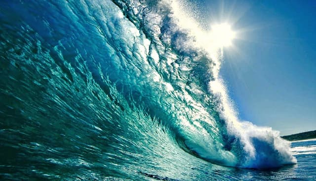 Legler Orthodontics - Vero Beach photo