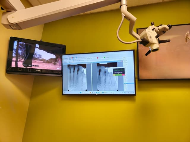 Brevard Endodontics photo