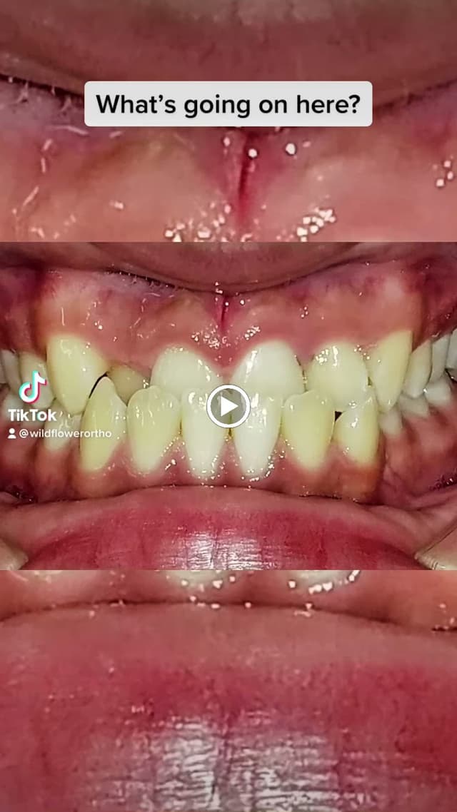 Wildflower Orthodontics photo