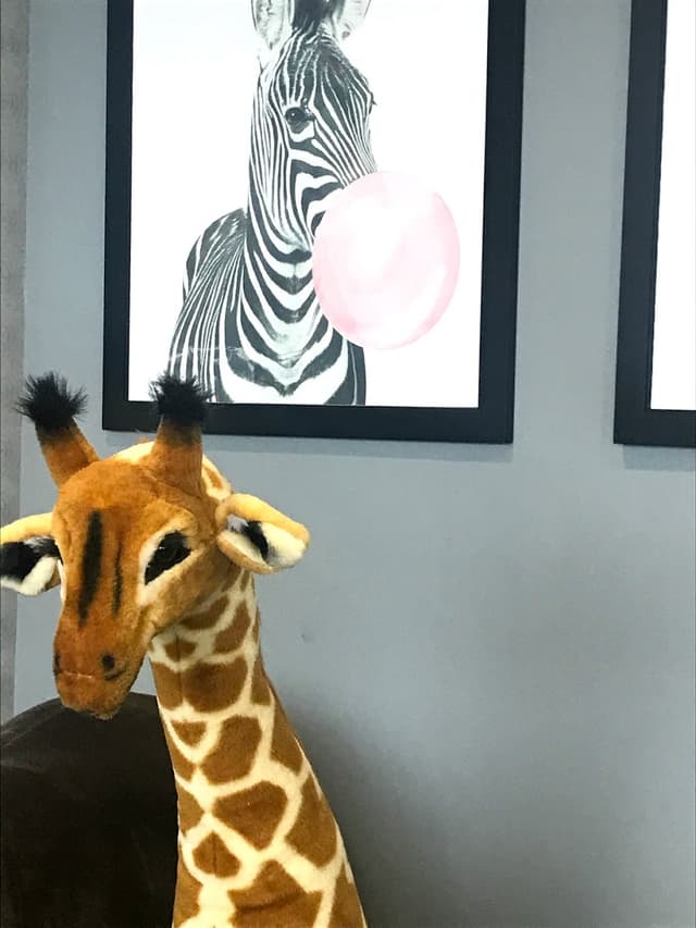 The Smile Spot photo
