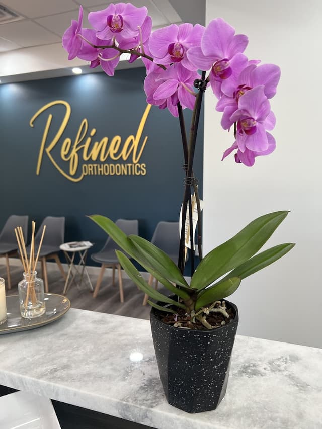 Refined Orthodontics photo