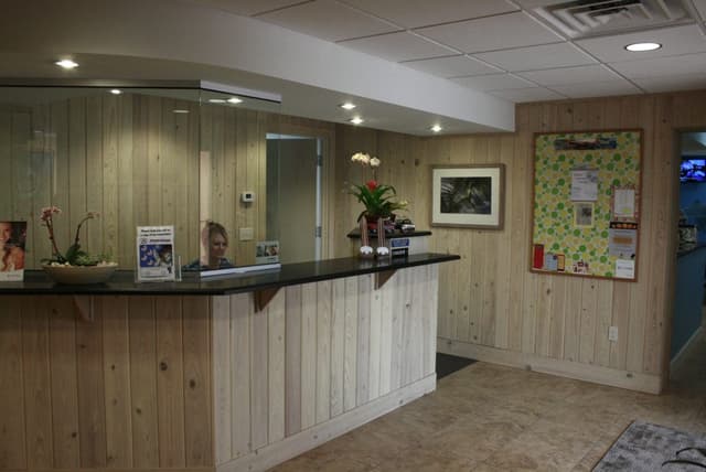 McCranels Orthodontics photo