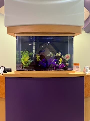 Otay Lakes Orthodontic photo