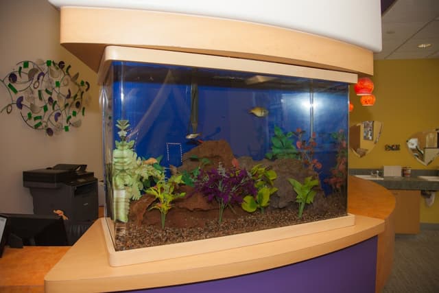 Otay Lakes Orthodontic photo