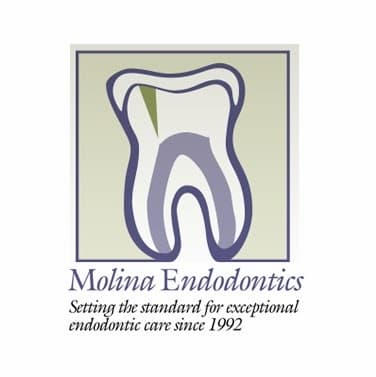 Molina Endodontics photo