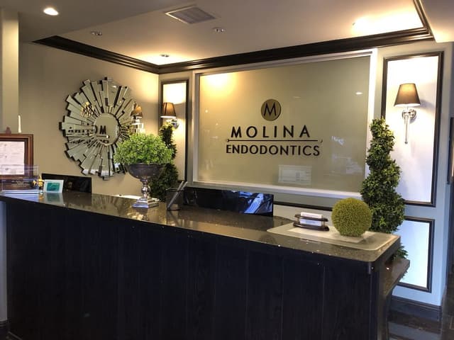 Molina Endodontics photo