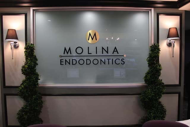 Molina Endodontics photo