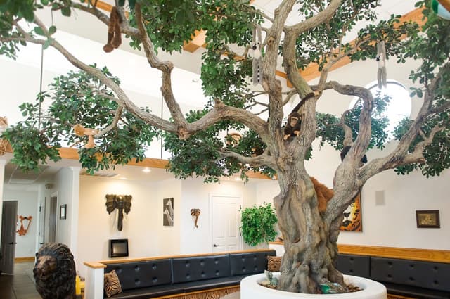 Lake Charles Orthodontics photo