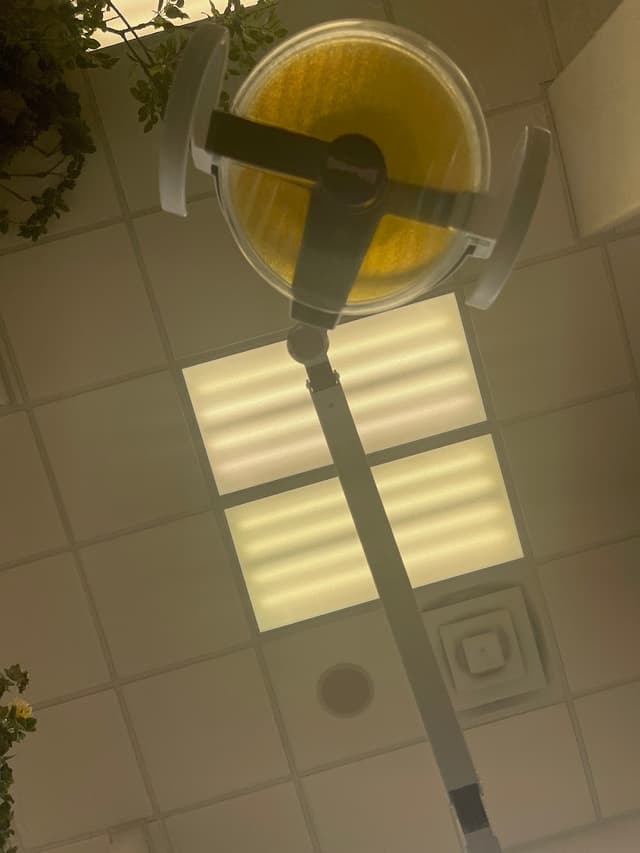 Lake Charles Orthodontics photo