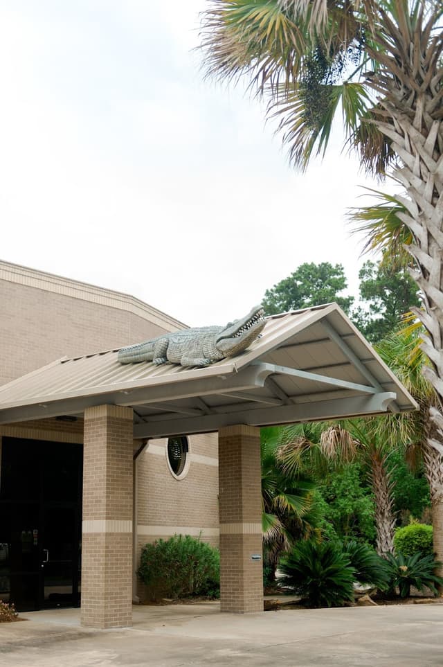 Lake Charles Orthodontics photo