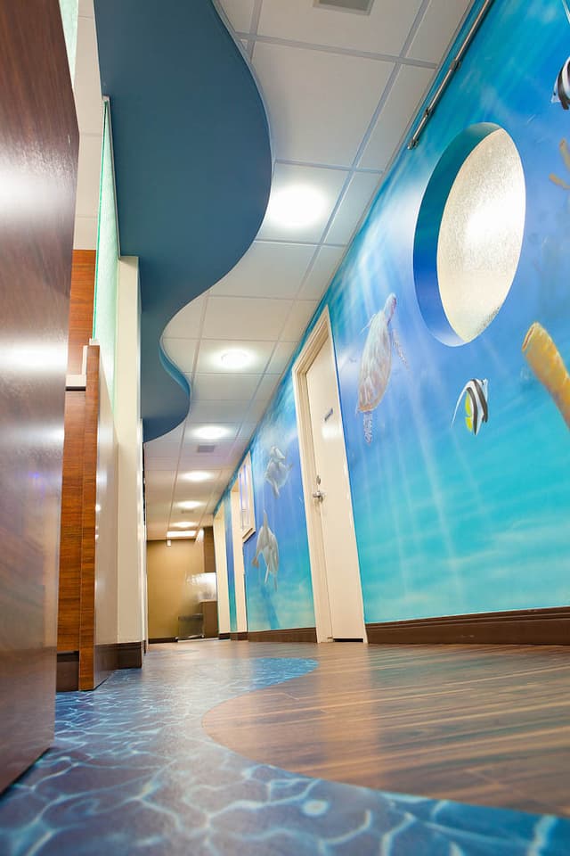 Align Orthodontics (Formerly Braces by Henry) photo