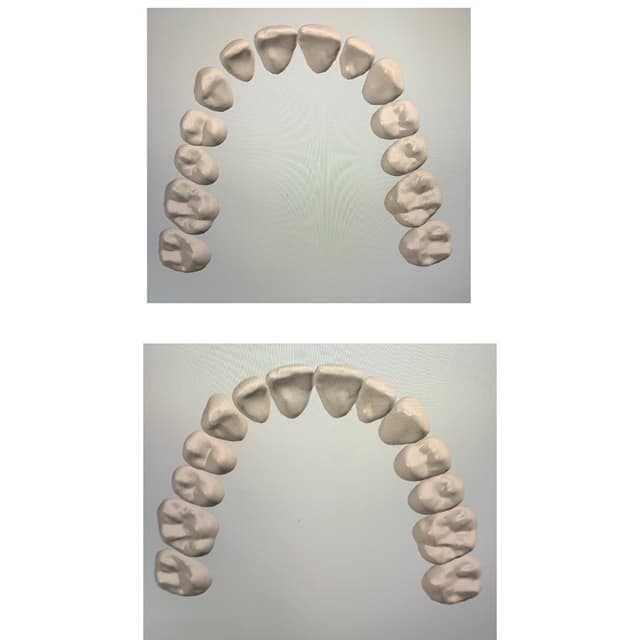 FitSmiles Orthodontics photo