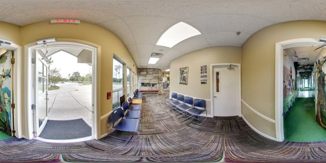 Bippo's Place for Smiles photo