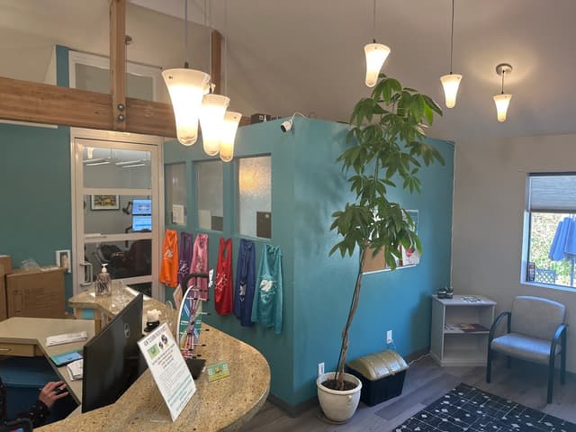 Palo Alto Orthodontics photo