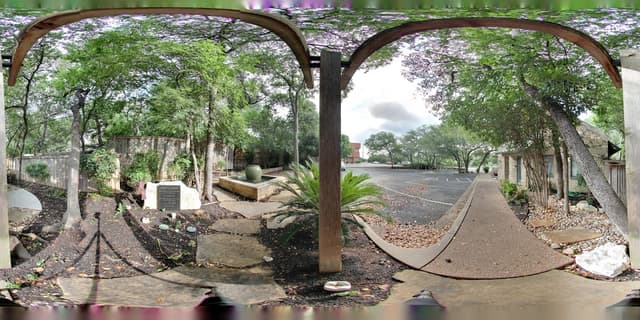 Austin Orthodontic Arts photo