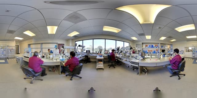 Esthetic Professionals photo