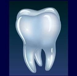 North Shore Oral Surgery, LLC's profile image
