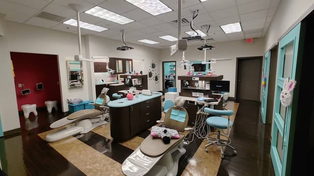 Frisco Mini Molars photo