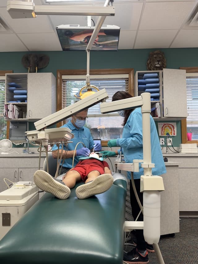 Great Smiles Orthodontics photo