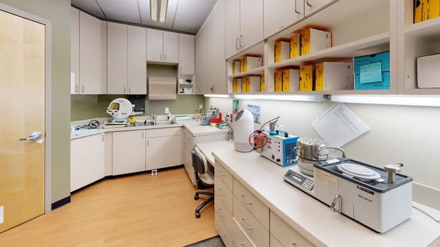 Great Smiles Orthodontics photo