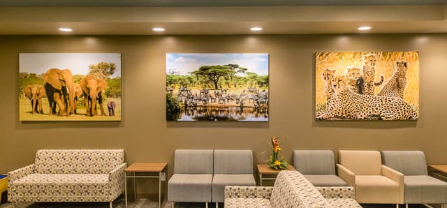 Lotzof Orthodontics photo