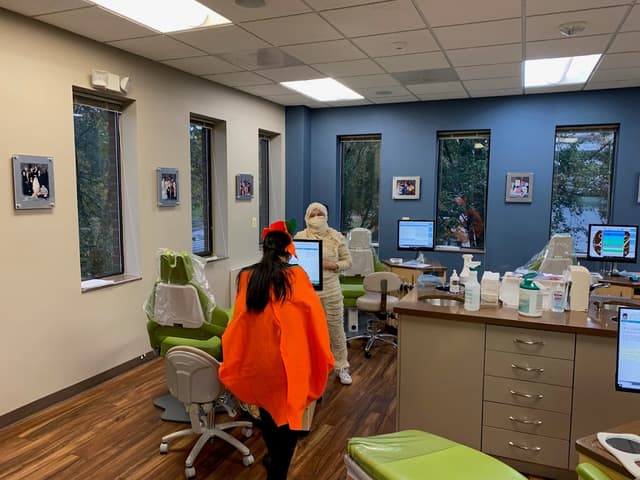 The Mclean Orthodontist (LM Orthodontics) photo