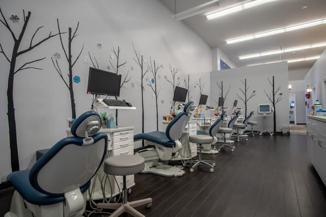 CT Braces - New Haven Orthodontics photo