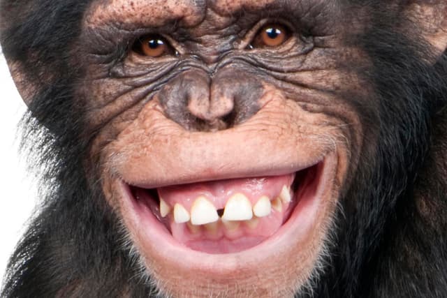 dentist-aventura dental associates photo