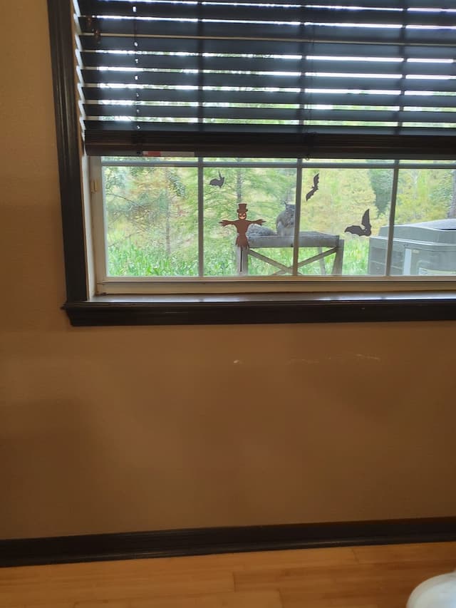 Wells Endodontics Tampa's Five Star Root Canal Specialists photo