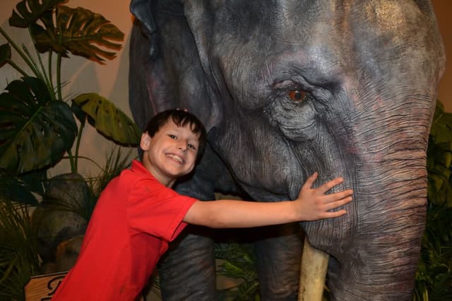 Family Orthodontics - Lexington photo