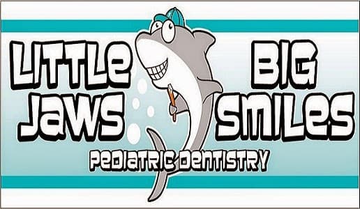 Little Jaws Big Smiles photo